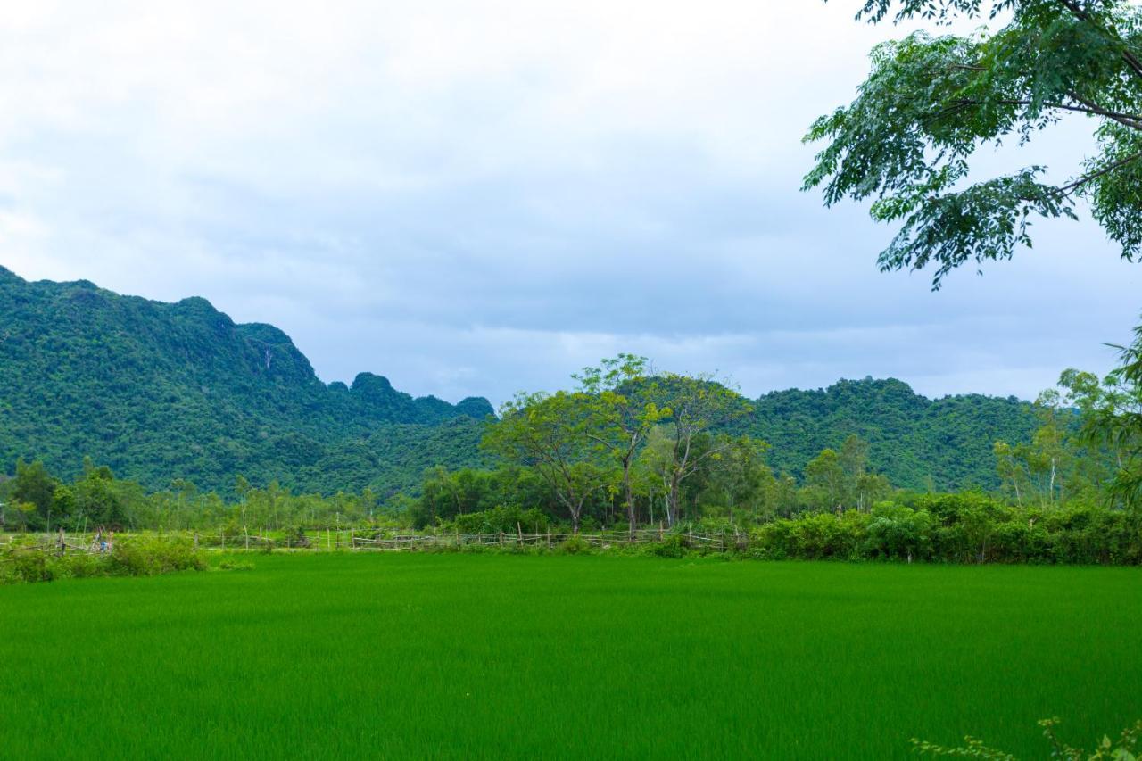 Pomelo Homestay Phong Nha Zewnętrze zdjęcie