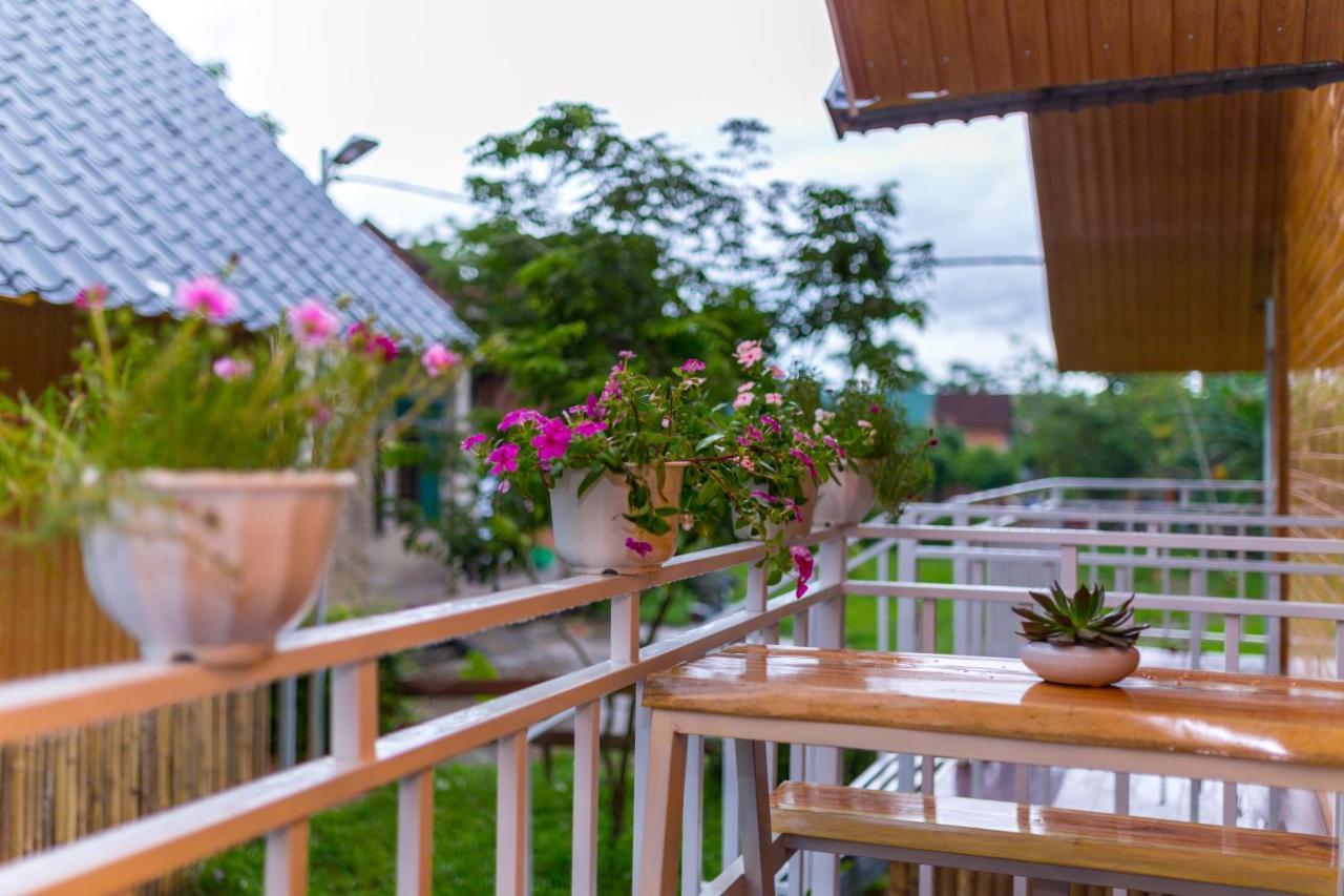 Pomelo Homestay Phong Nha Zewnętrze zdjęcie