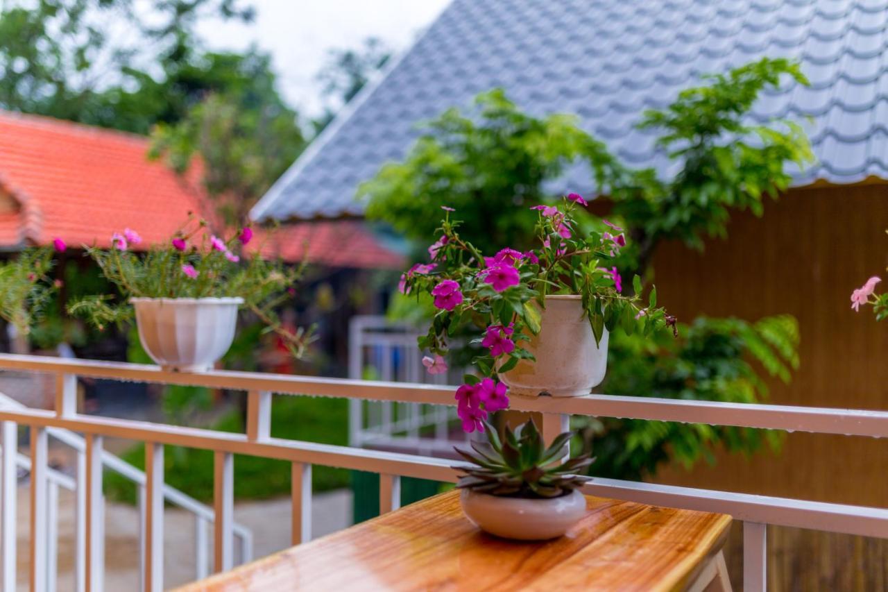 Pomelo Homestay Phong Nha Zewnętrze zdjęcie