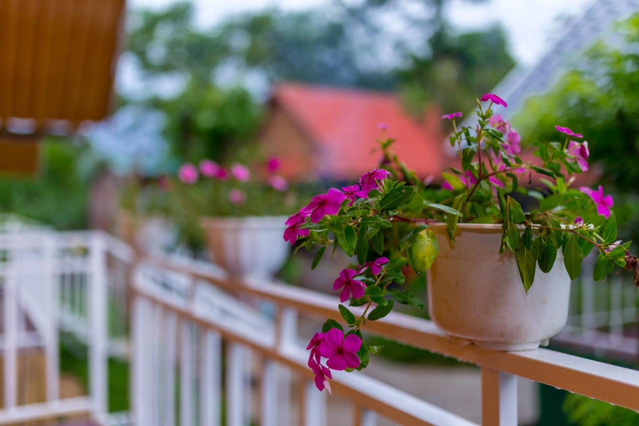 Pomelo Homestay Phong Nha Zewnętrze zdjęcie