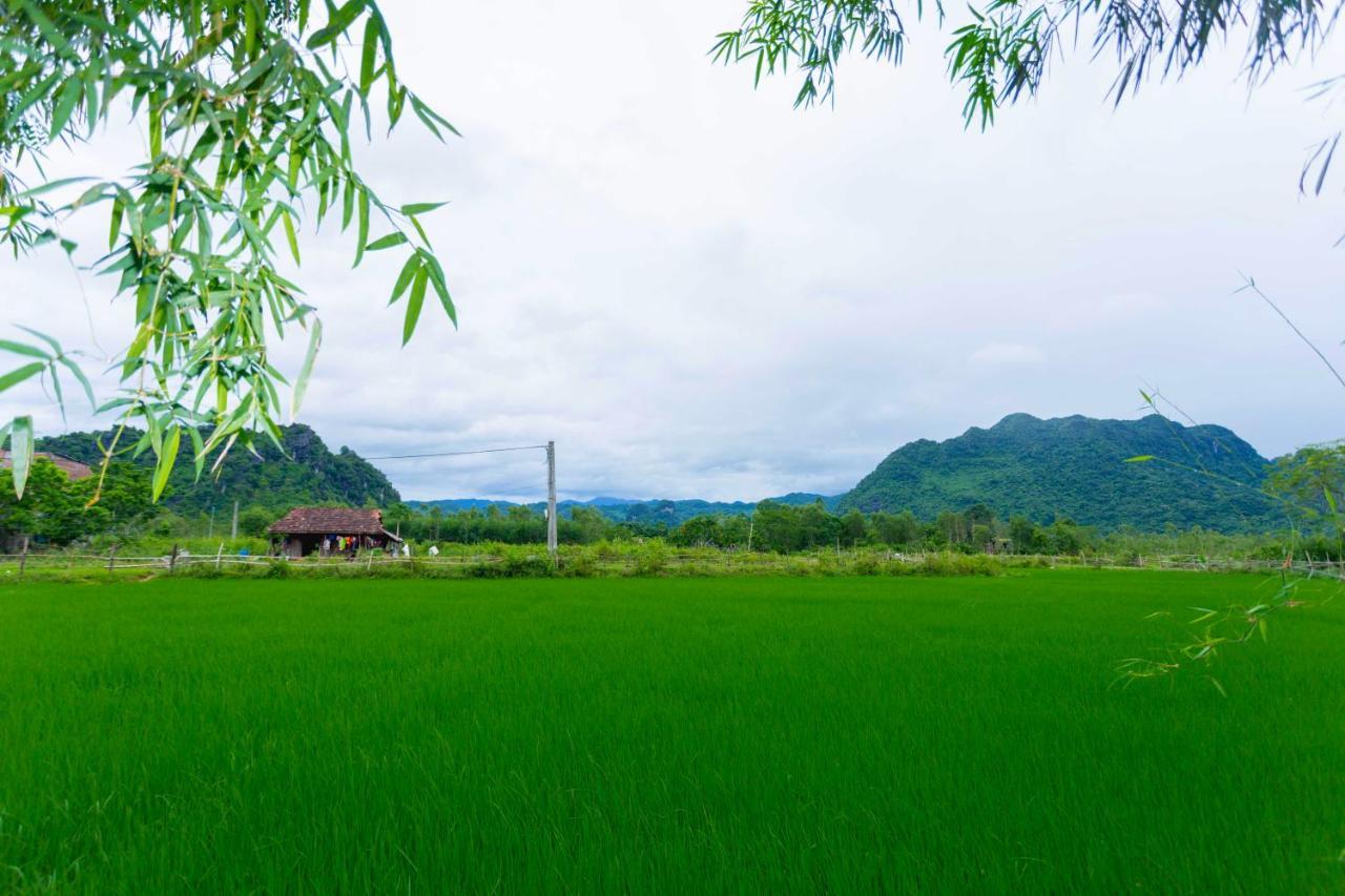 Pomelo Homestay Phong Nha Zewnętrze zdjęcie